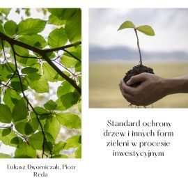 standardy ochrony drzew i innych form zieleni w procesie inwestycyjnym