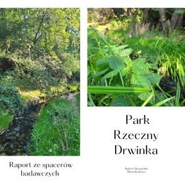 raport ze spacerów badawczych w Parku Rzecznym Drwinka